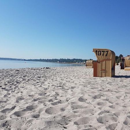 Zwergtaucher Eckernförde المظهر الخارجي الصورة